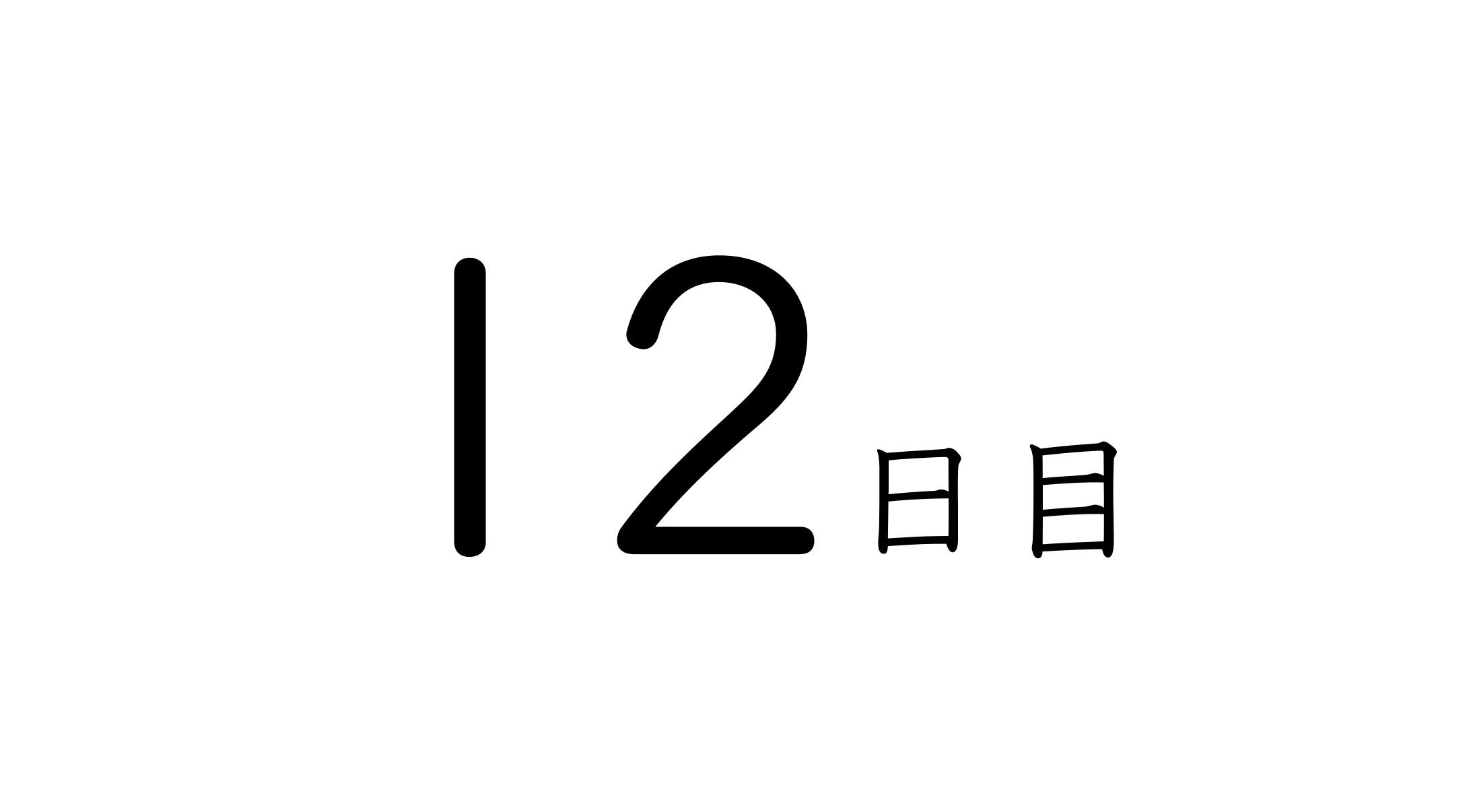 12日目