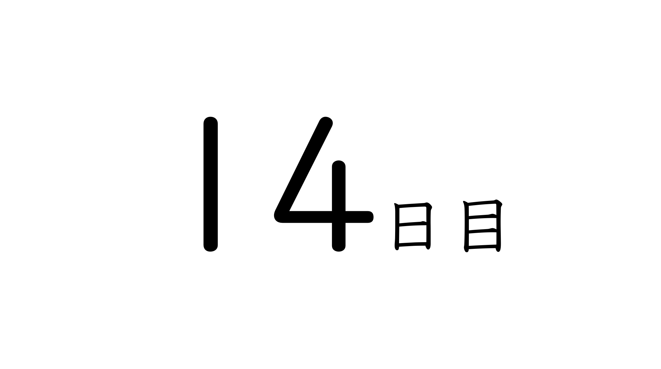 14日目