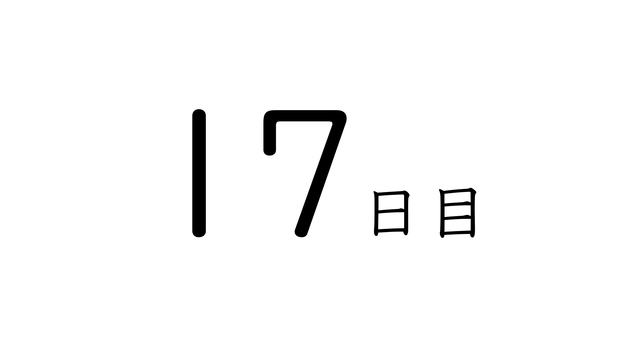 17日目