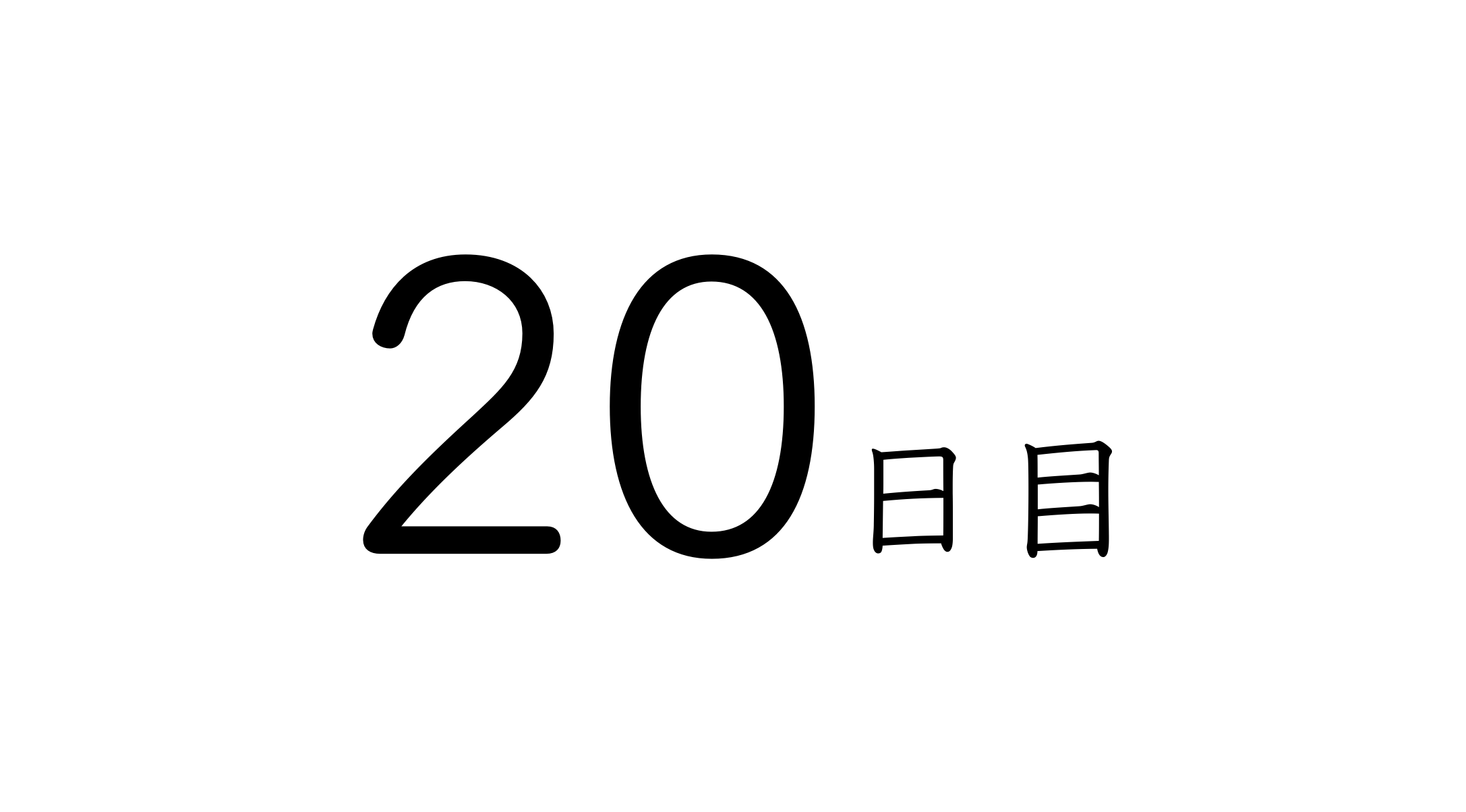 20日目