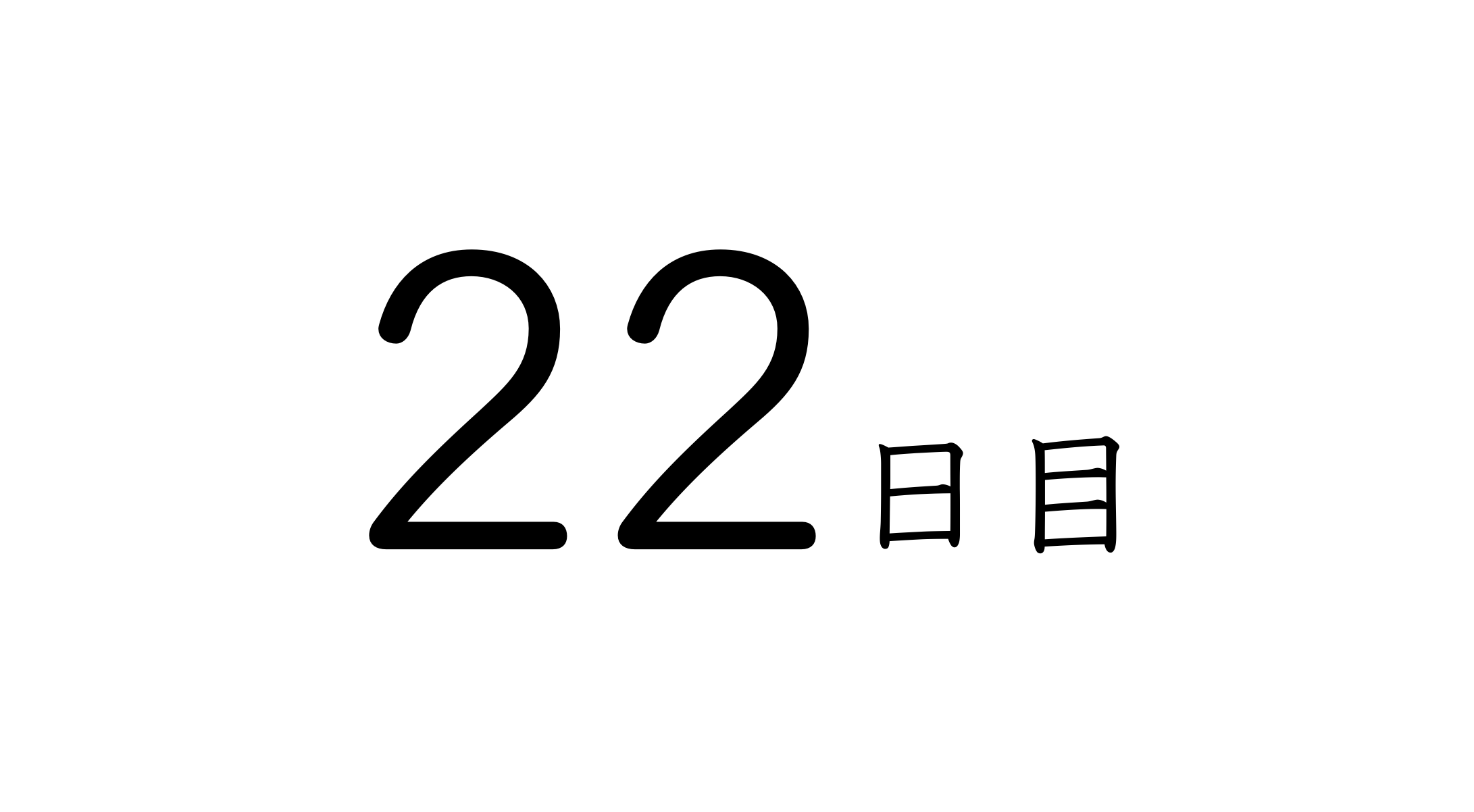 22日目