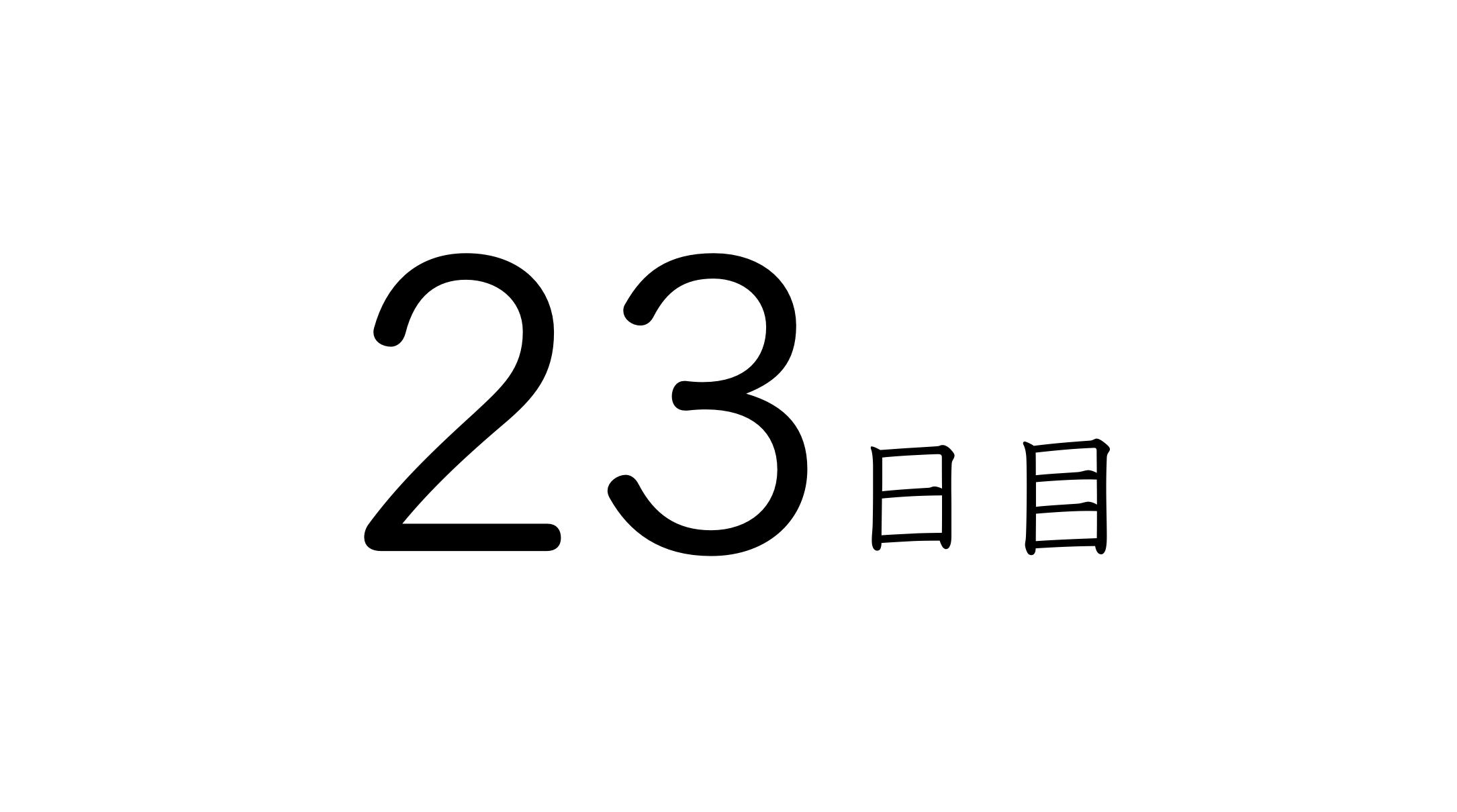 23日目