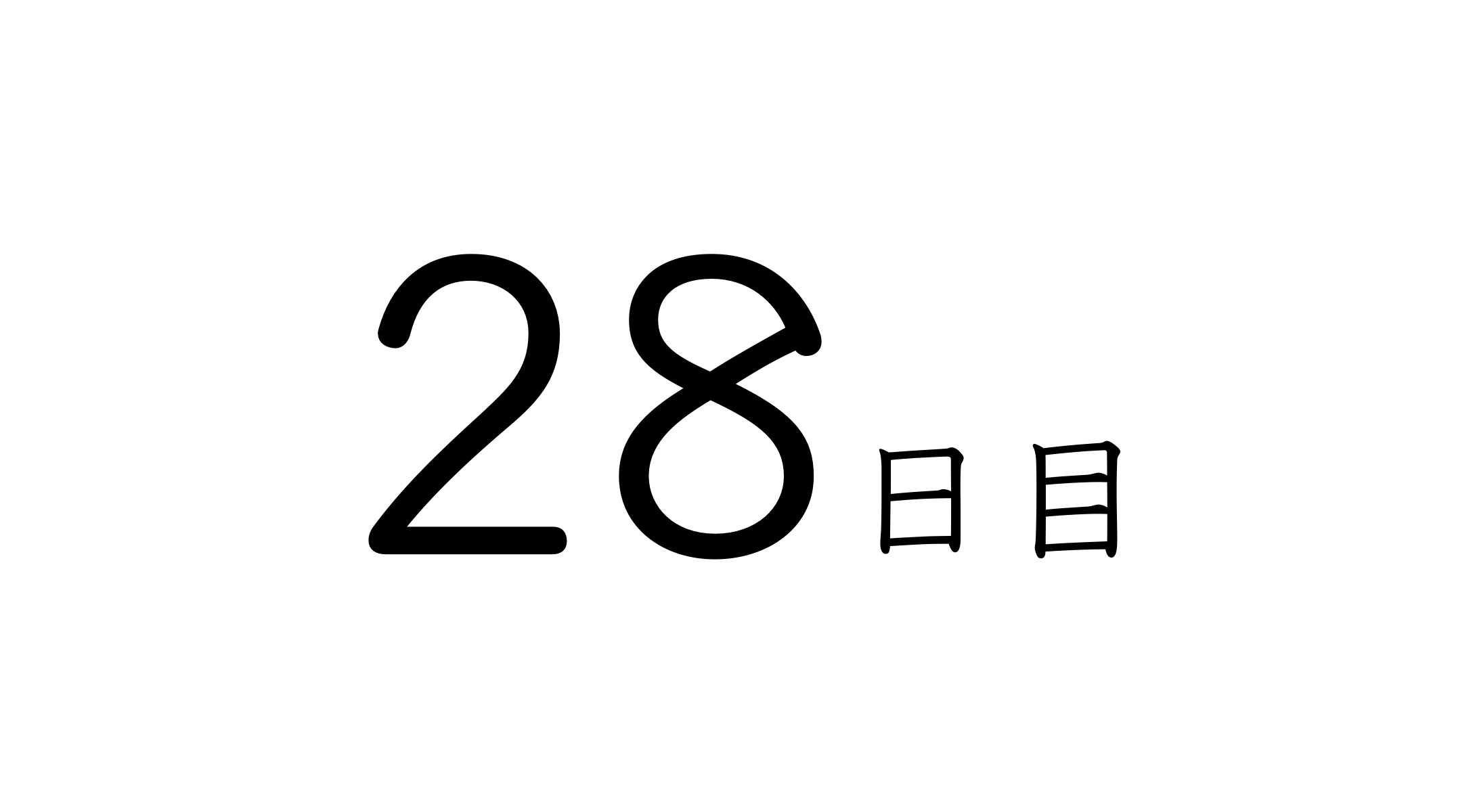 28日目