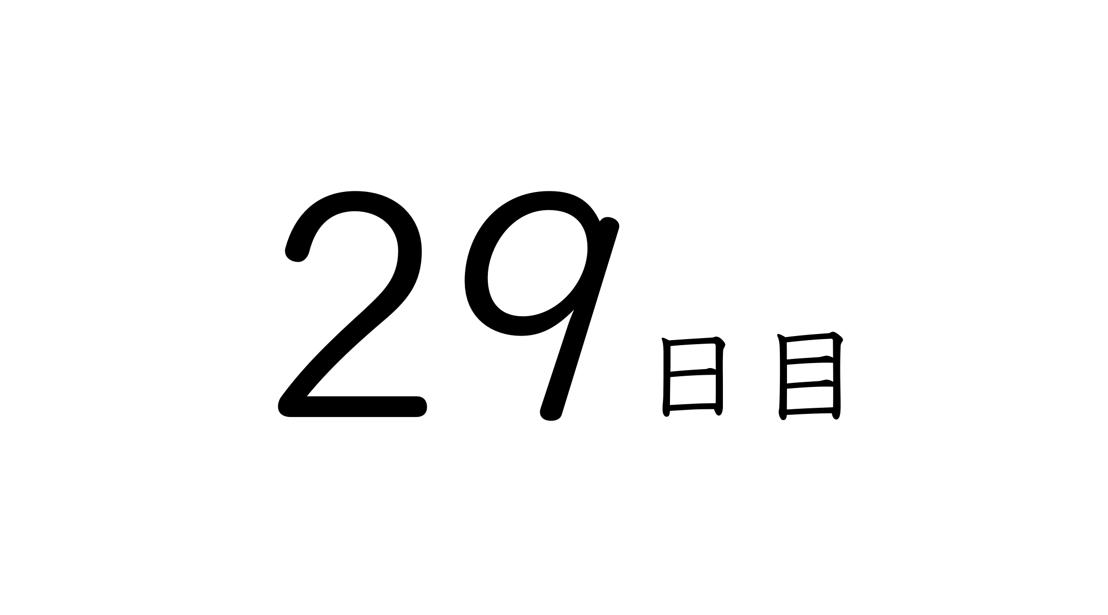 29日目