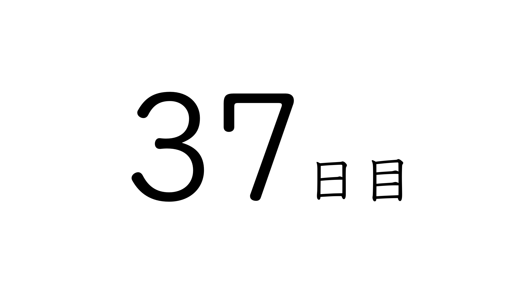 37日目