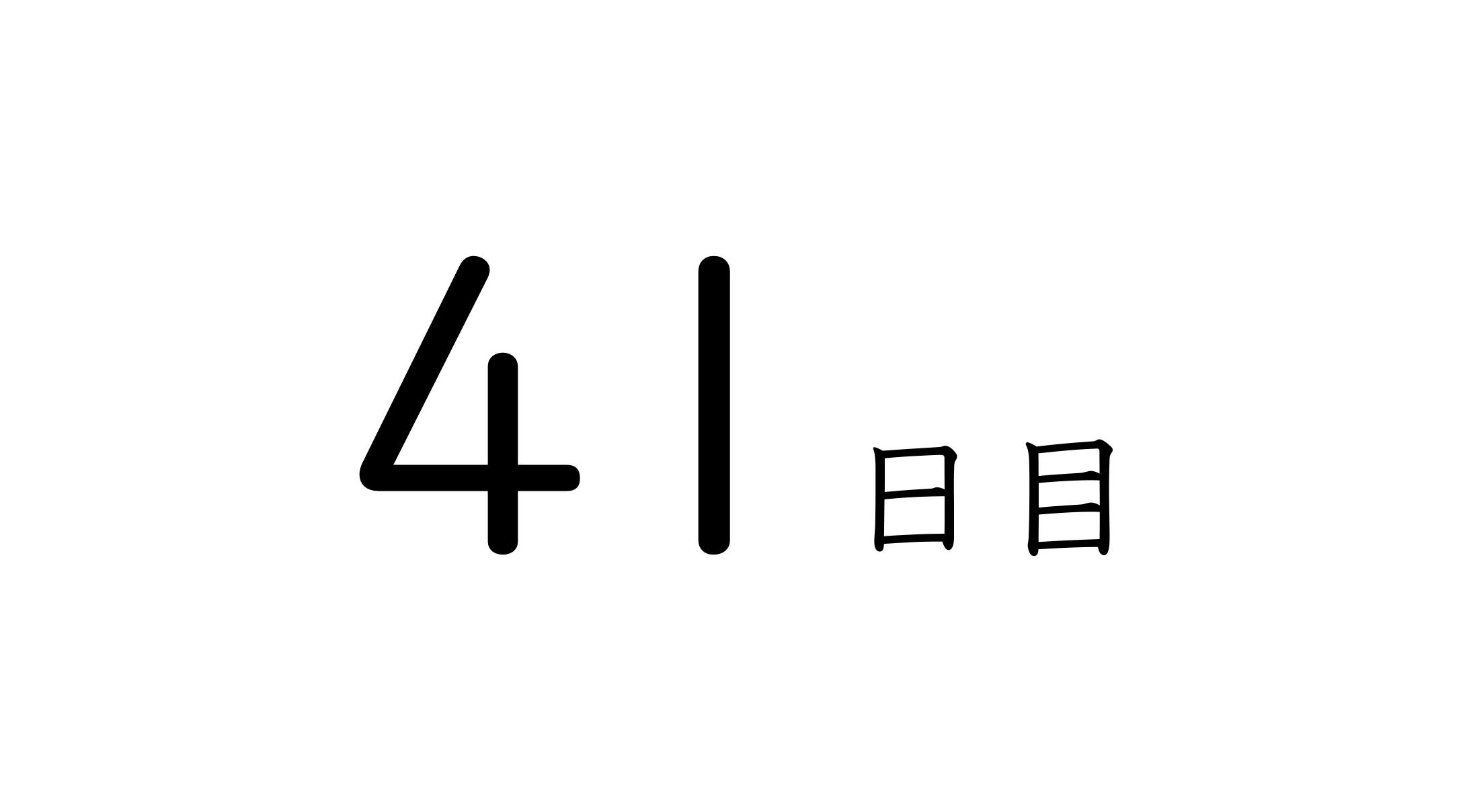 41日目