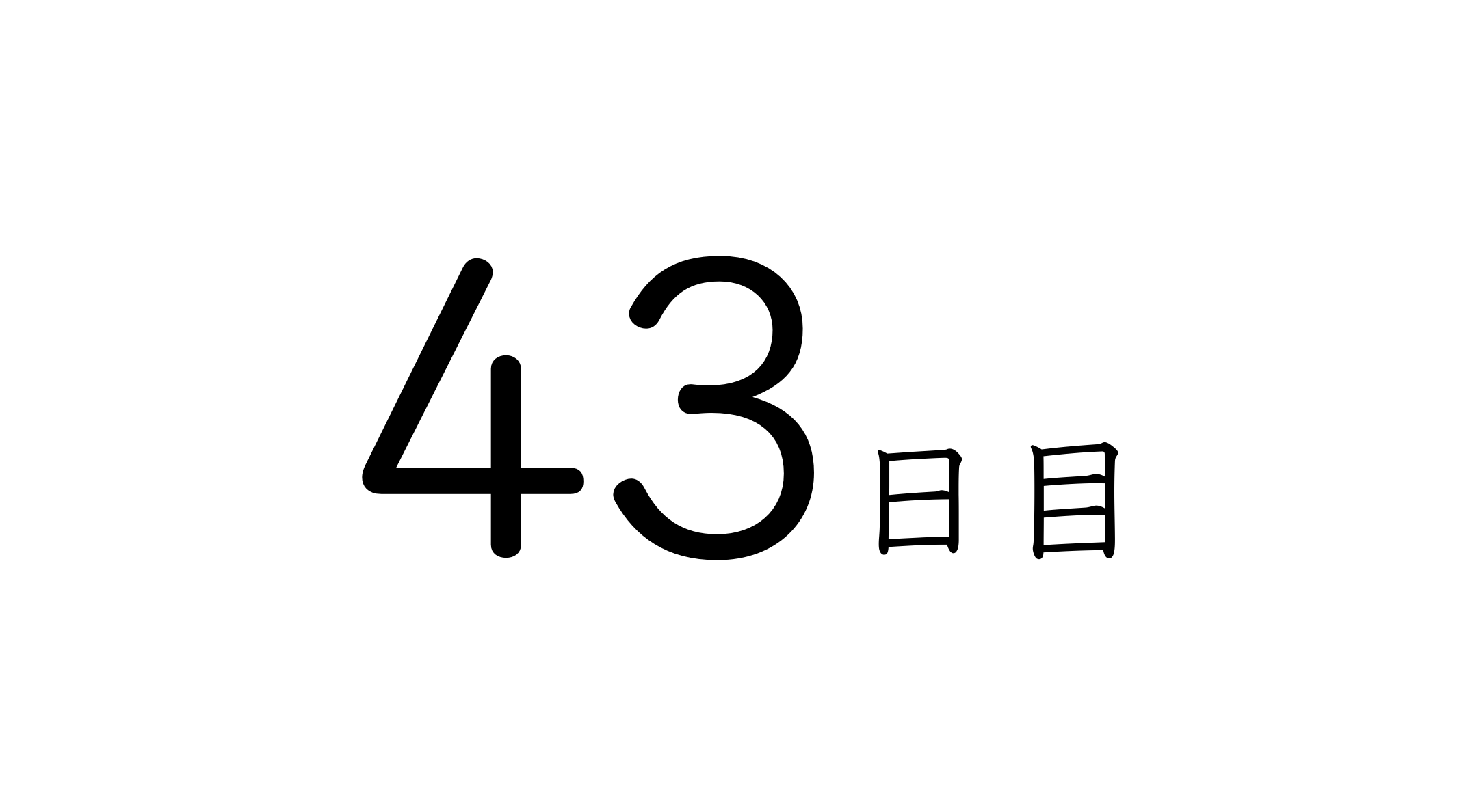 43日目