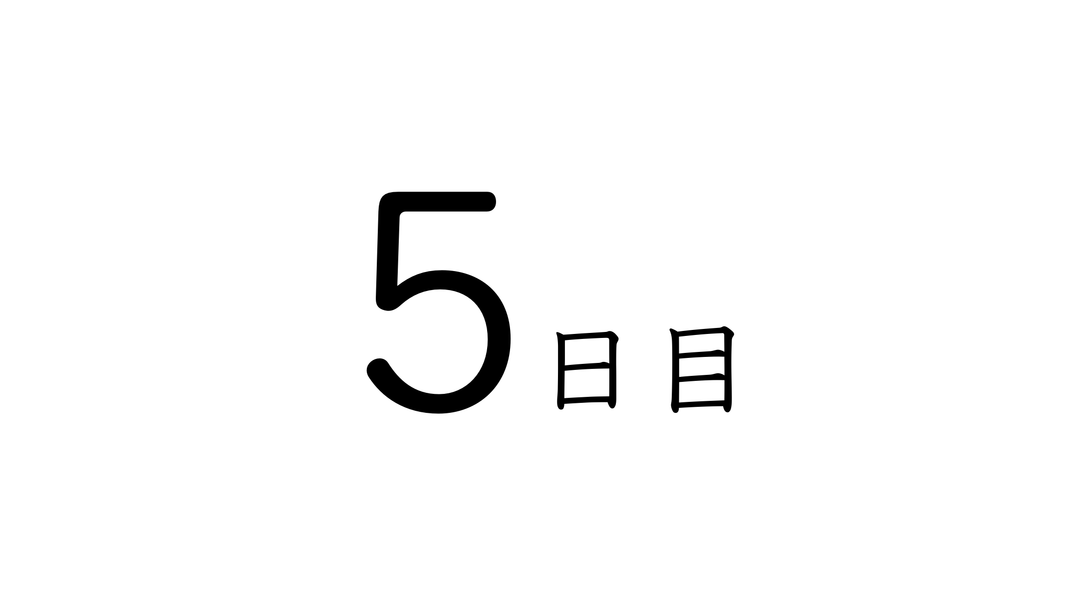 5日目