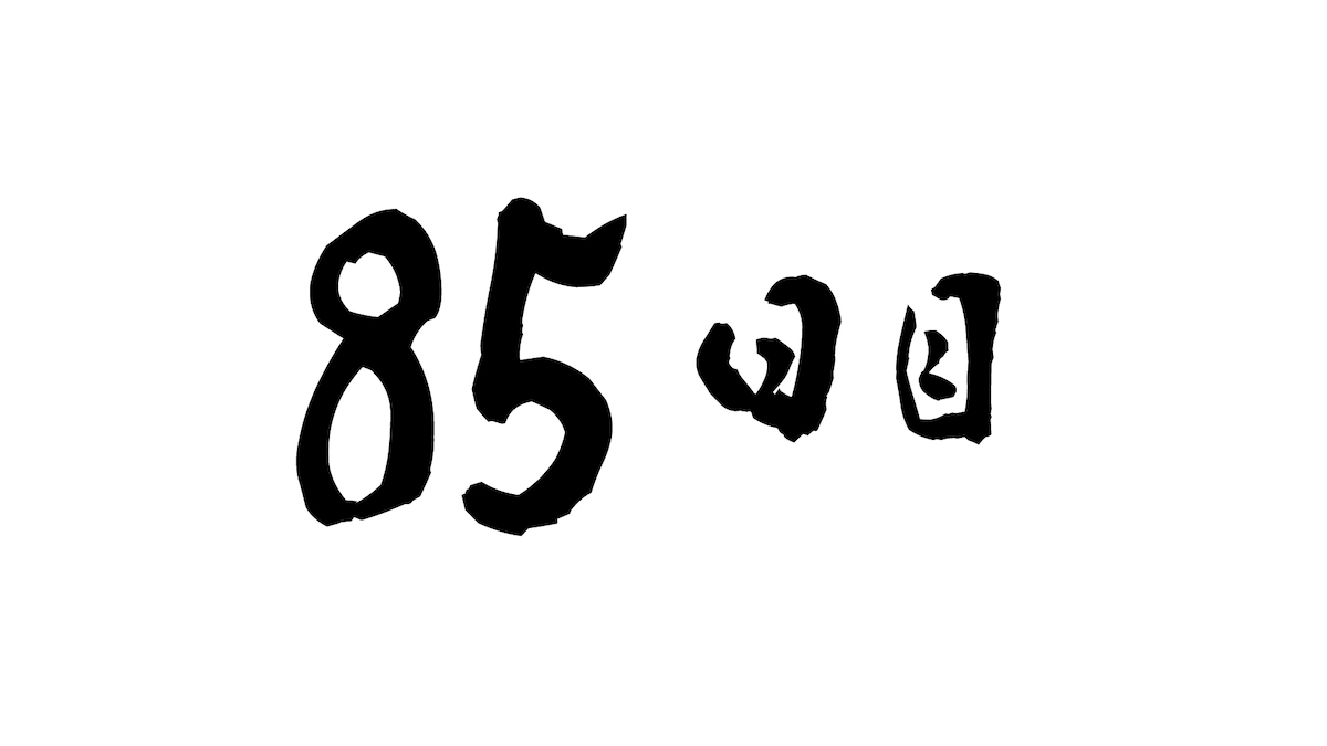 85日目